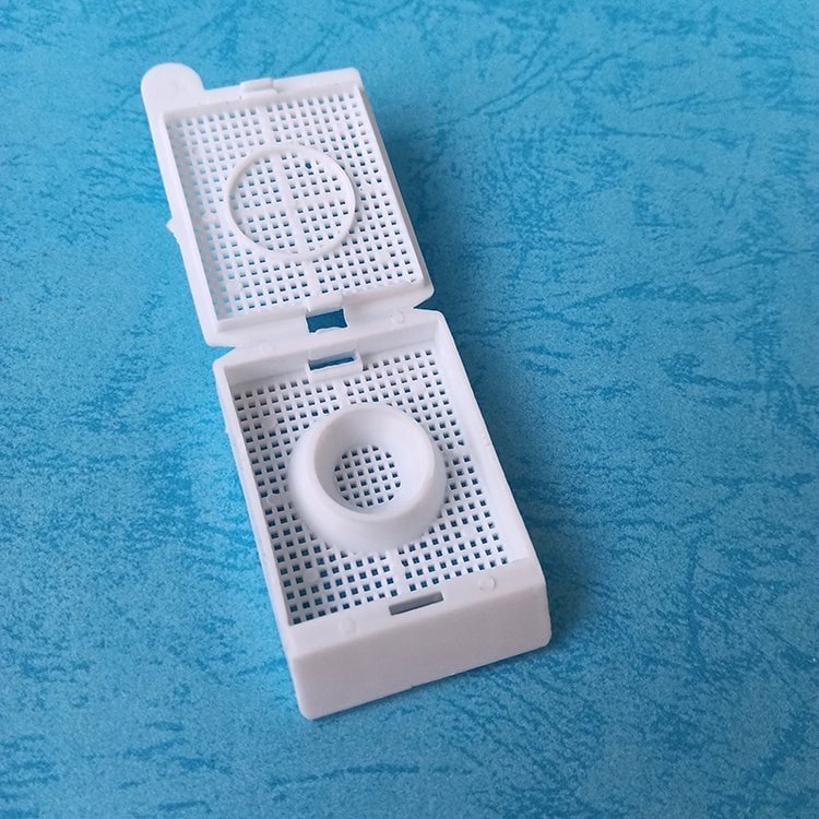 ALT标签：白色塑料过滤器盖子，适用于水过滤系统.