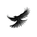 Raven CAD logo